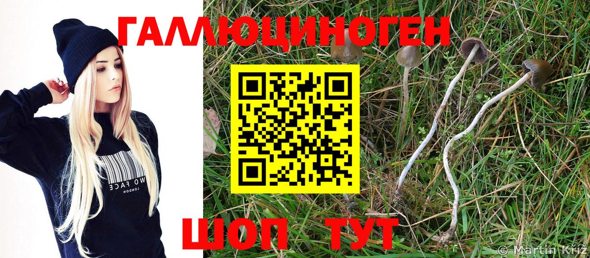 Галлюциногенные грибы MAGIC MUSHROOMS Вышний Волочёк