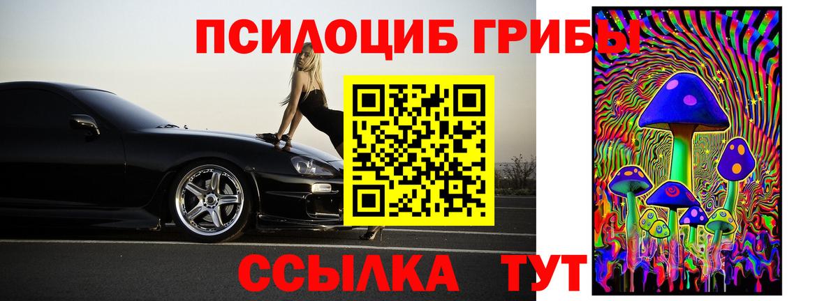 Галлюциногенные грибы ЛСД  Галлюциногенные грибы прущие грибы  Вышний Волочёк  Вход с VPN 